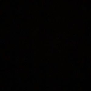 Meet your Posher, Warren